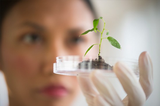 Những nghề hưởng lương cao nhất ở Mỹ ảnh 11